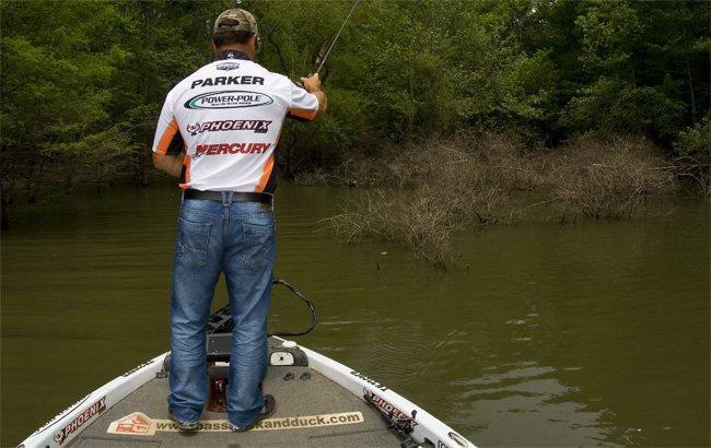 Avoid Fishing Wrong - Wired2Fish