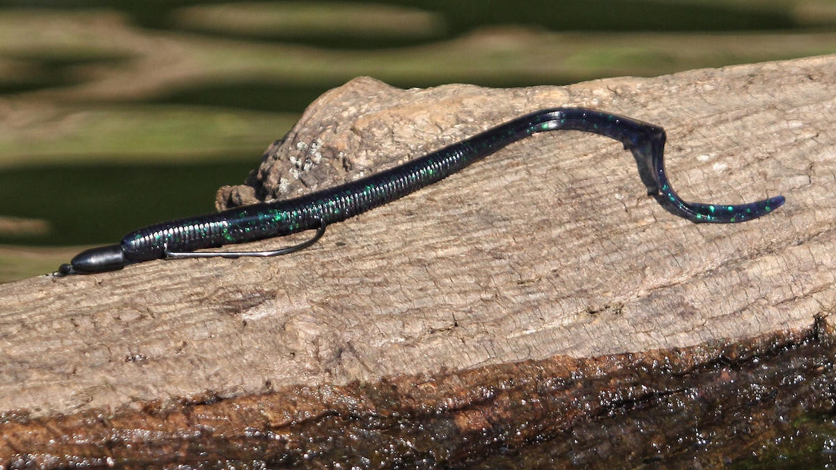 13 Fishing Big Squirm Ribbon Tail Worm Review - Wired2Fish