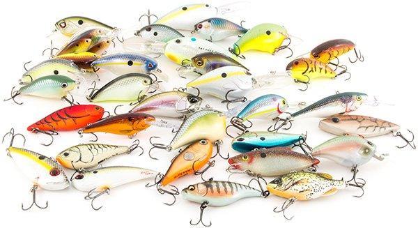 Bass Fishing Crankbaits: The Beginner's Guide - Wired2Fish