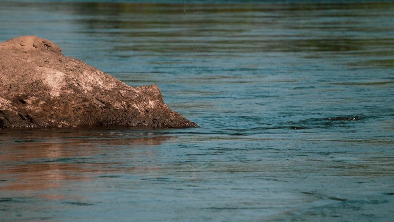 5 Factors That Help Tough Summer Fishing