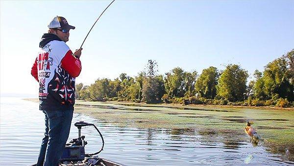 Why to Fish Grass for Bass - Wired2Fish