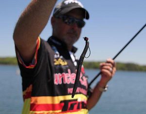 Big Shaky Head Fishing for Summer Bass