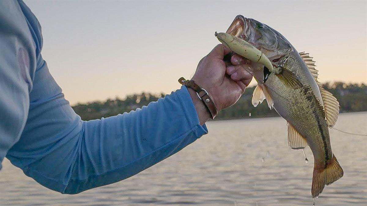 5 Tips to Catch More Bass on the Whopper Plopper - Wired2Fish