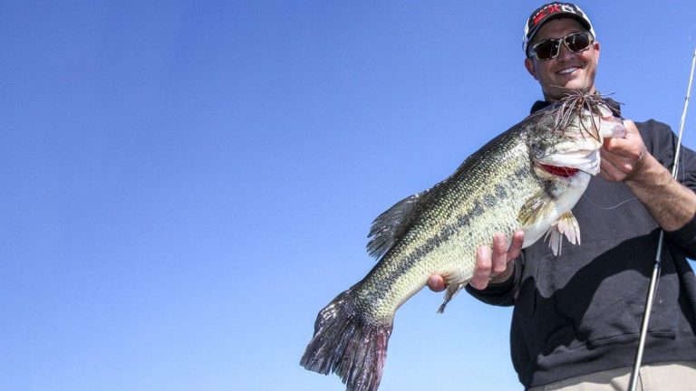 Why You Should Fish a Mop Style Jig for Bass