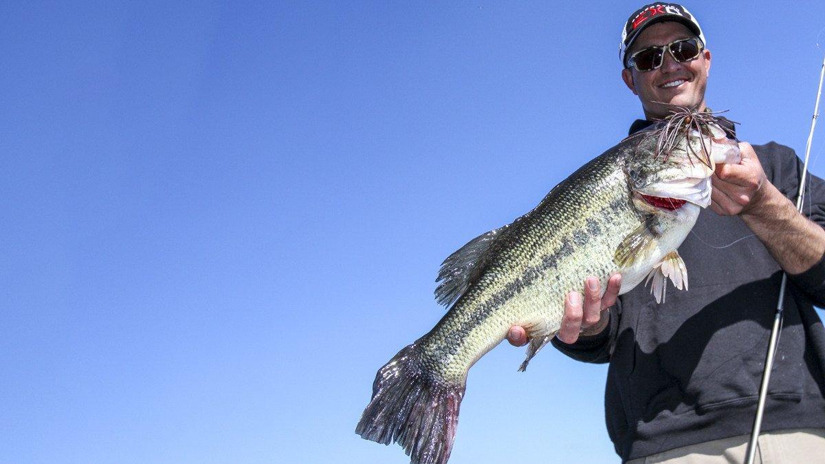 Why You Should Fish a Mop Style Jig for Bass - Wired2Fish