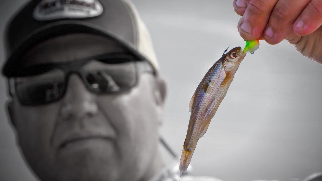 How to Fish a Jig and Minnow for Spring Walleyes - Wired2Fish