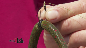 How to Rig Wacky Worms for More Hookups