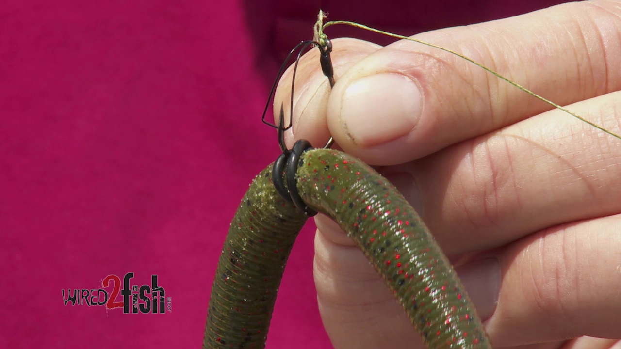 How to Rig Wacky Worms for More Hookups - Wired2Fish