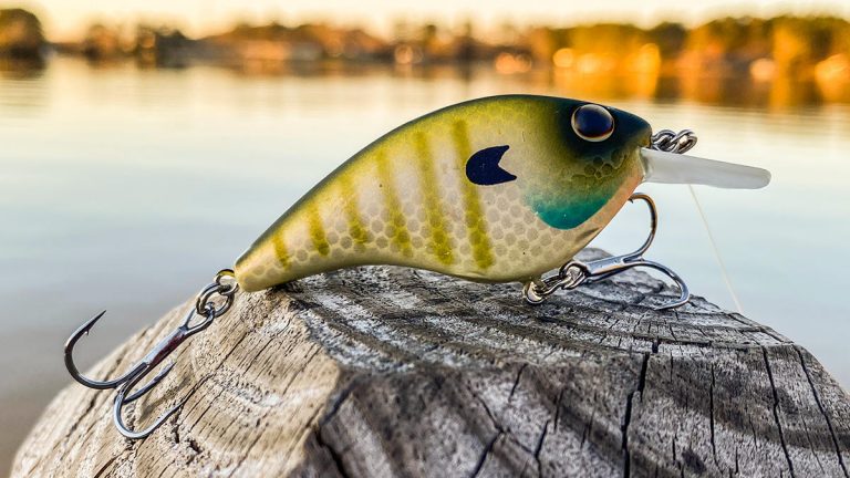 Berkley Frittside 5 Crankbait Review