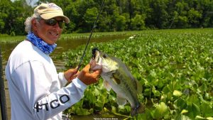 Plan An Attack for Lily Pad Bass This Spring