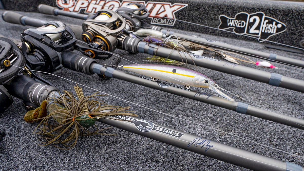 Ark Rods Tharp Series Review - Wired2Fish