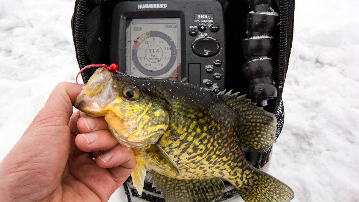 Tungsten Crappie King Fly - Northland Fishing Tackle