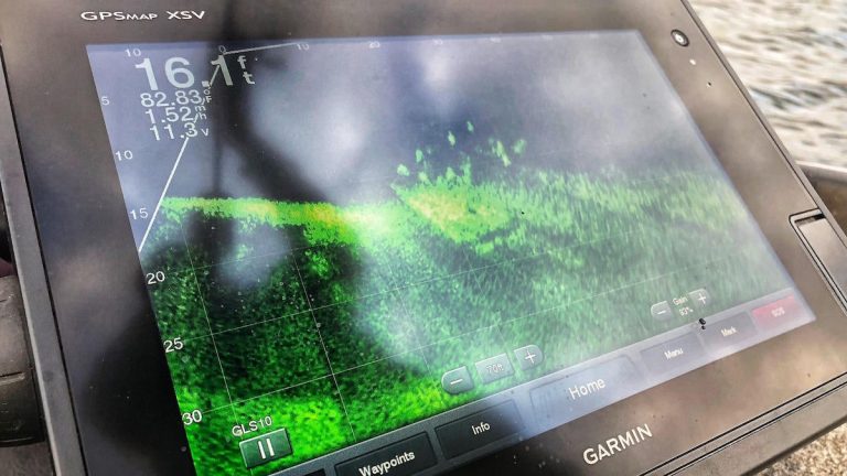 How to Catch Suspended Bass with Garmin LiveScope