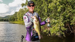 How to Choose the Right Spinnerbait Blade