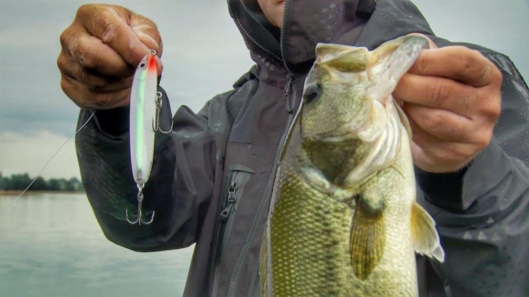 How to Fish Walking Topwater Baits