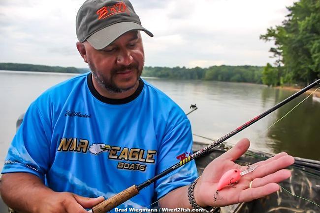 Beginners’ Guide to Pulling Crankbaits for Crappie