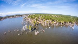 Angler Dies at MLF Toyota Series Tournament on Sam Rayburn