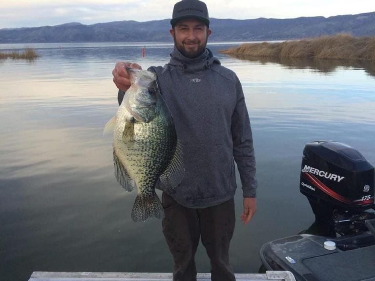 Angler Catches California State Record Crappie