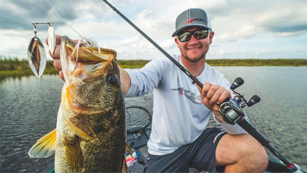 Spinnerbait Comeback - When and How to Use (4 Tips) - Wired2Fish