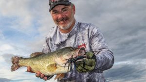 Why You Need to Fish Big Baits This Fall
