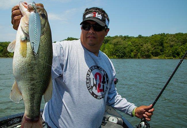 Why You Should Throw Big Baits for Bass - Wired2Fish