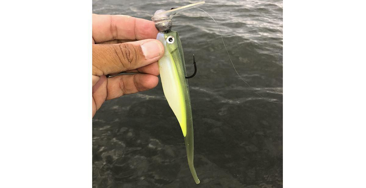Jenko Fishing Tremor Shad Review - Wired2Fish