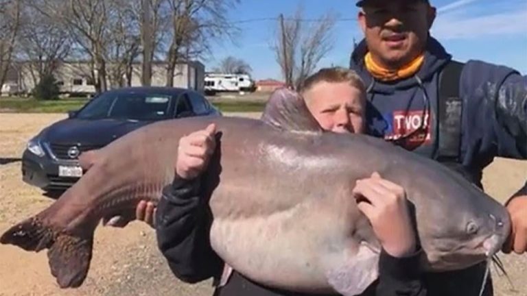 47 State Record Fish Caught in Texas in 2019