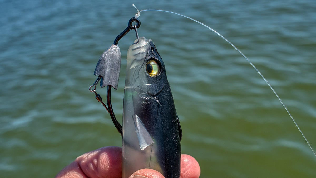 Megabass Magdraft Freestyle Review - Wired2Fish