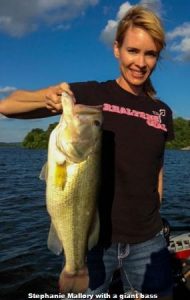 5 Tips for Every Bass Fisherman