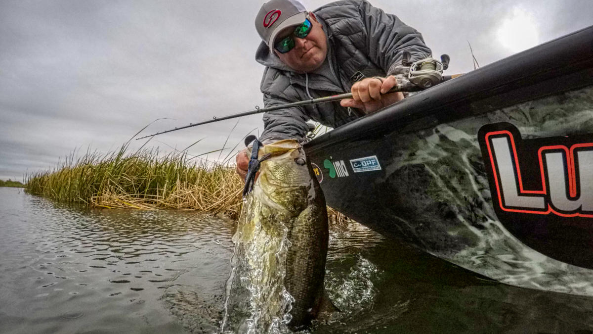 Advanced Swim Jig Tactics for More Consistent Bass Fishing - Wired2Fish