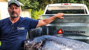 Giant Catfish Breaks State Record