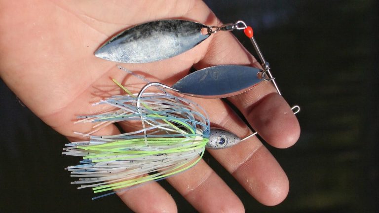 Fall Bass Fishing with Spinnerbaits: How to Choose the Best One for the Job