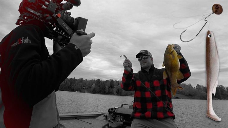 Why Rigging Swimbaits on Swinging Jigs Excels