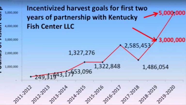 KY Biologists Optimistic about Carp Eradication Plan