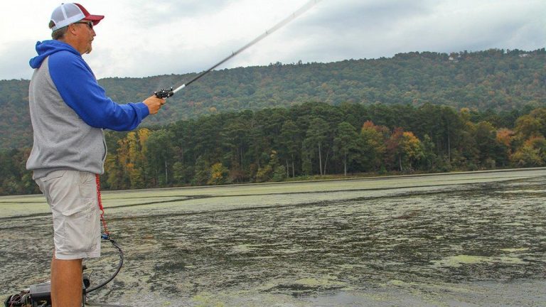 How to Maximize the Fall Bass Grass Break-up