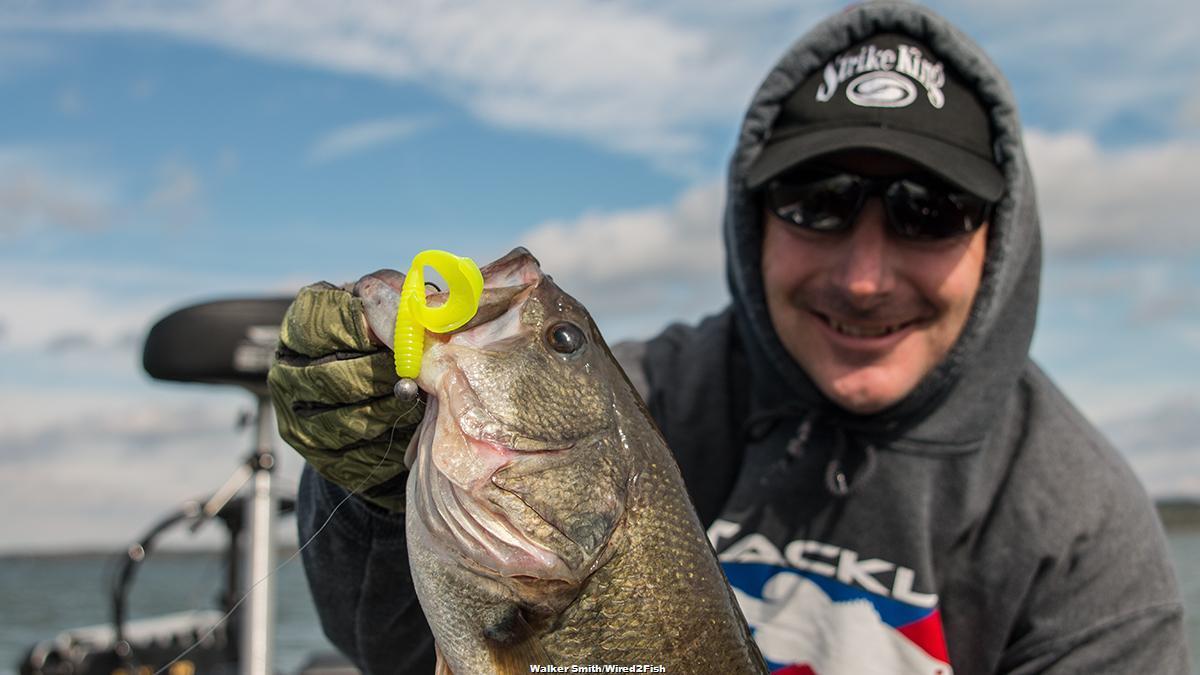 How to Fish Grubs for Winter Bass - Wired2Fish