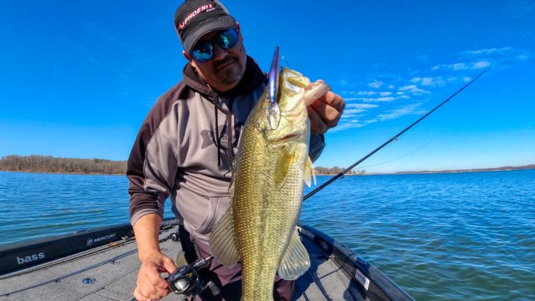 Megabass Vision ONETEN+2 Review