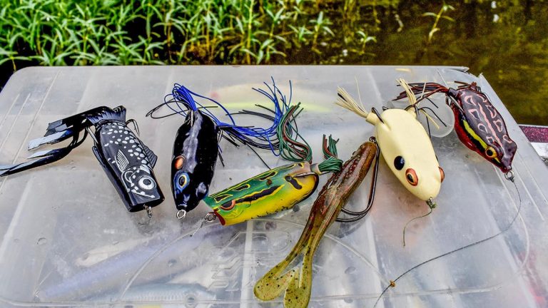 Best Frog Lures For 2023 Wired2Fish, 51% OFF