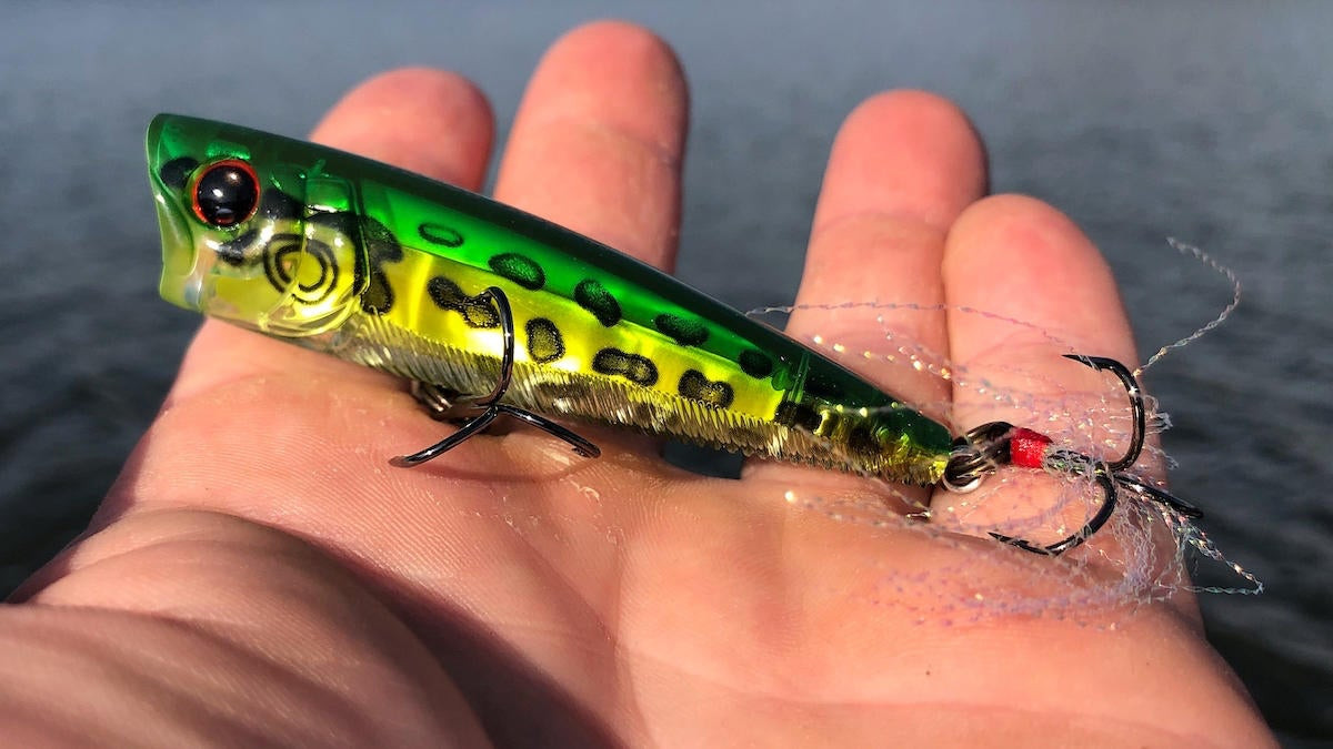 Realistic Fishing for Bass with a Jerkbait & Pet Peeves