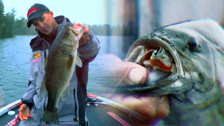 New Swimbait Tactics for Bass in Mixed-Cover Areas