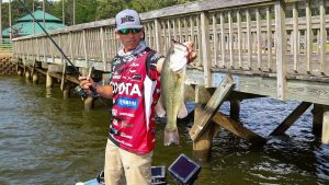 How to Choose Soft Plastics for Bass Fishing