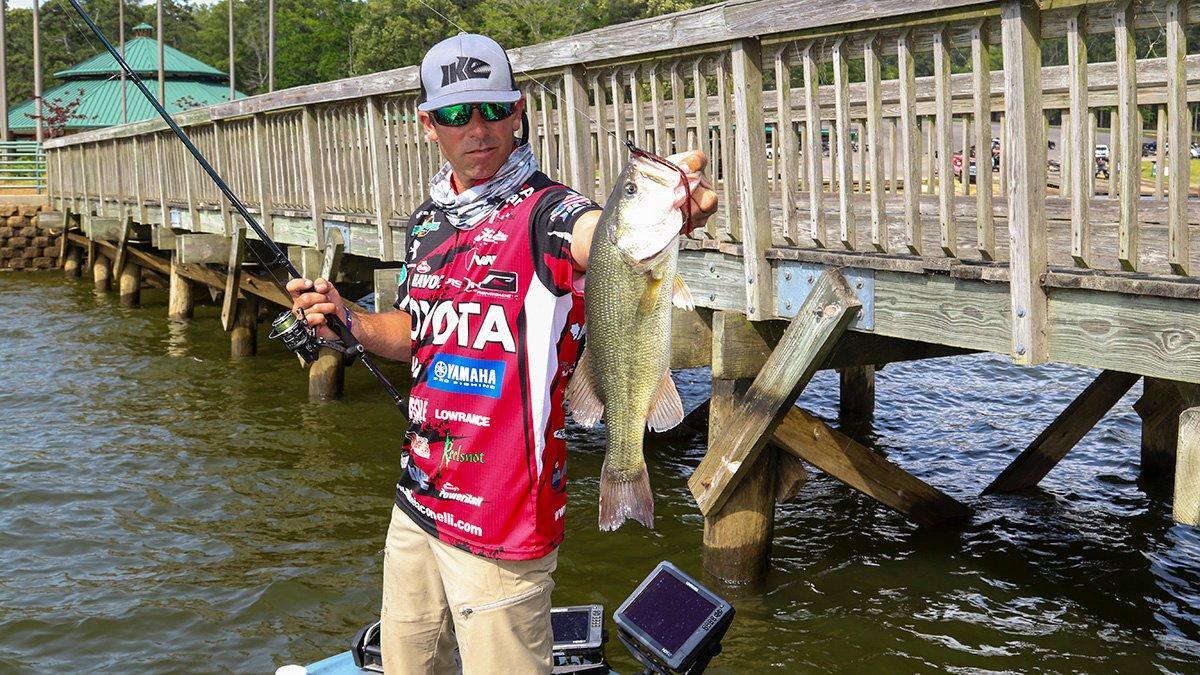 How to Choose Soft Plastics for Bass Fishing - Wired2Fish