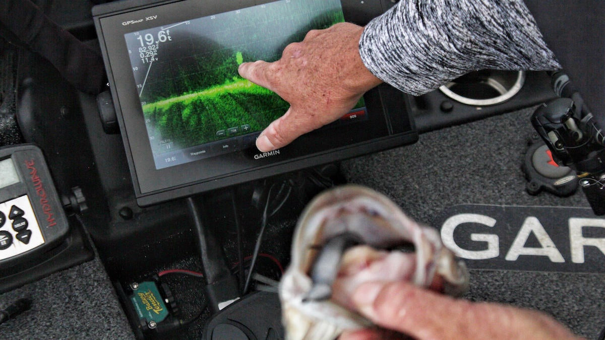 How to Catch Suspended Bass with Garmin LiveScope - Wired2Fish