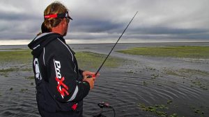 Southern Grass | Winter Bass Fishing Refuge