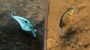 Flat-Sided Crankbaits | Underwater View