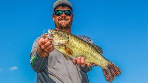 Why You Should Use a Topwater Popper for Fall Bass Fishing