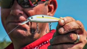 All-Season Jerkbait Strategies With KVD