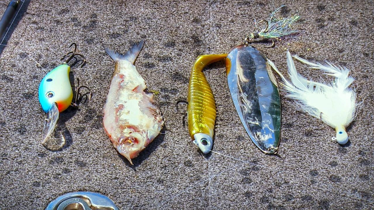 Ledge Baits for Bass Fishing  What They Look Like Underwater - Wired2Fish