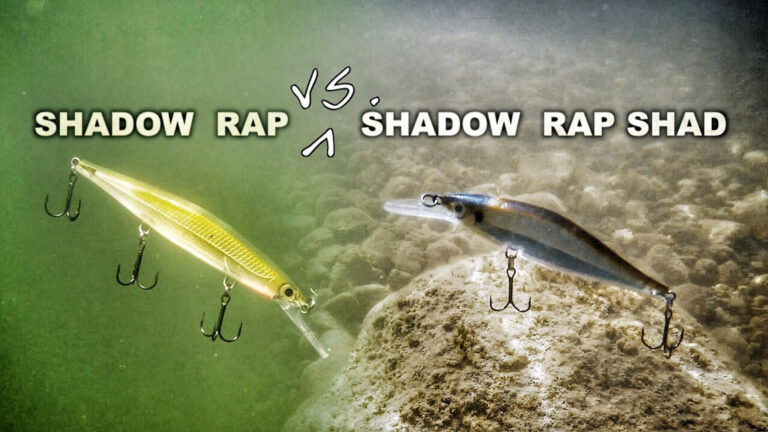 The Rapala Shadow Rap vs. Shadow Rap Shad