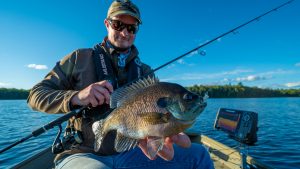 How to Catch Big Bluegills with Jigs and Plastics